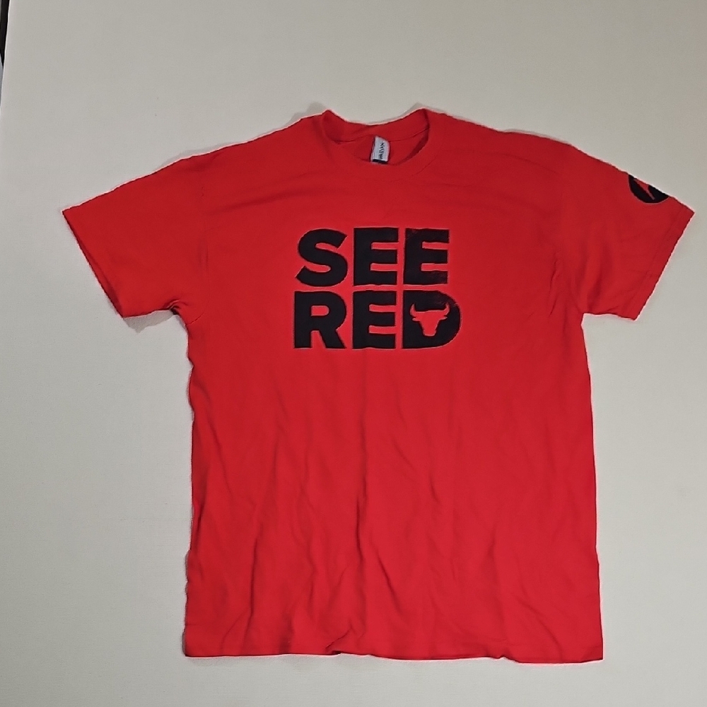 CHICAGO BULLSGildan Bold Red Graphic Tee Large